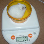 先週と体重は変わらず