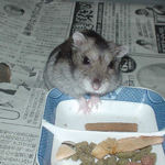 カメラに向かってくるユウキ