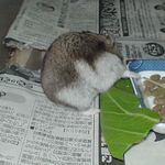 エサ皿の下を見るユウキ