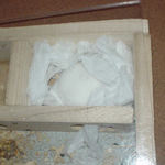 アイはまだ寝てました