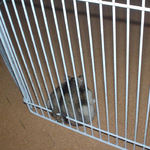 サークルによっかかっているユウキ