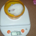 アイも体重減少