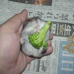 ブロッコリーで腹だし食い