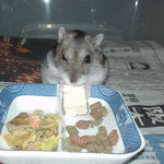 豆腐を食べるユウキ