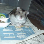 煮干を食べるユウキ