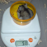 ユウキは少し体重が増えました