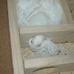 まだ眠そうなアイ