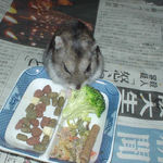 ブロッコリーを食べるユウキ