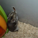 ユウキのお気に入り