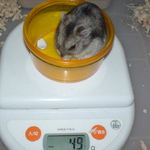 少し、体重落ちました。