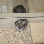 眠そうな表情で出てきました