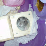 まだ、眠そうな表情