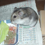 乾燥パパイヤを食べるユウキ