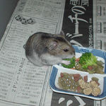 ブロッコリーを食べるユウキ