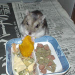 カボチャを食べるユウキ