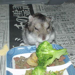 ブロッコリーを食べるユウキ