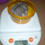 ついに大台突入