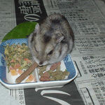 ミートジャーキーを食べるユウキ