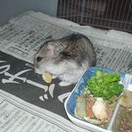 バナナチップを食べるユウキ