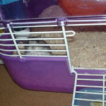 出口が開いてるのに出てこない。