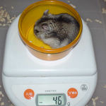 ユウキは体重減少