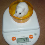 アイは先週と体重変わらず