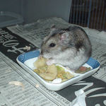 バナナチップを食べるユウキ