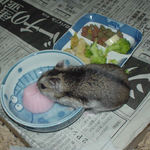 ゼリーを食べているユウキ