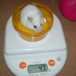 アイは体重変わらず