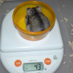 さらに体重が減ったユウキ