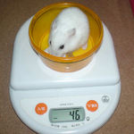 アイも少し体重減少