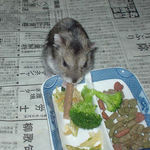 ミートジャーキーを食べるユウキ