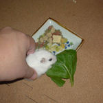 触られても気にしません