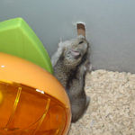 穴を齧るユウキ