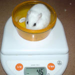 アイも体重は変わらず