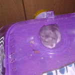 気持ちよさげに寝ているコーキ