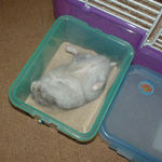 砂場でスッテン