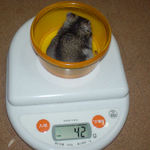 ユウキは体重減少