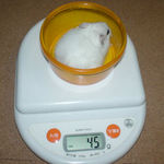 アイも体重減少