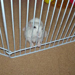 サークルカジカジ中