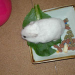 小松菜を食べるアイ