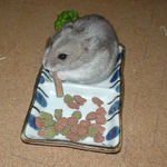 ミートジャーキーを食べるコーキ