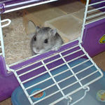 出口で待機中のコーキ