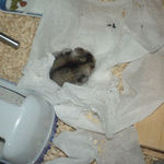 野良寝中のユウキ