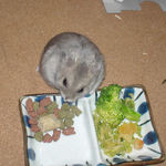 何を食べようか迷ってるコーキ