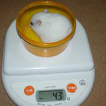 アイも先週から体重増加
