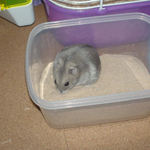 砂風呂で一浴び