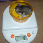 ユウキは体重が減少