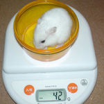 アイも体重減少