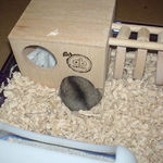 お尻だけ出してるユウキ